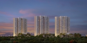 alembic cloud forest project
