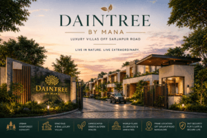 daintree main