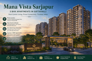 vista main