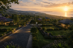 Violet hill main